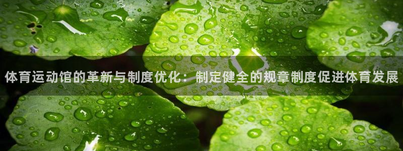 k1体育平台下载：体育运动馆的革新与制度优化：制定健全的规章制度促进体育发展