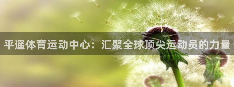 k1体育网站登录官网：平遥体育运动中心：汇聚全球顶尖运动员的力量