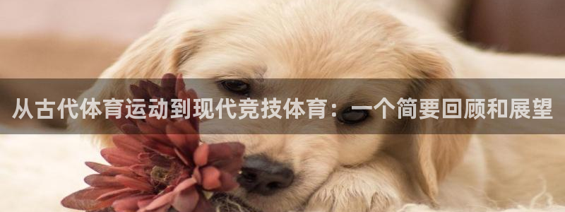 k1体育网站登录官网：从古代体育运动到现代竞技体育：一个简要回顾和展望