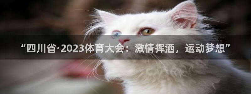k1体育下载链接：“四川省·2023体育大会：激情挥洒，运动梦想”