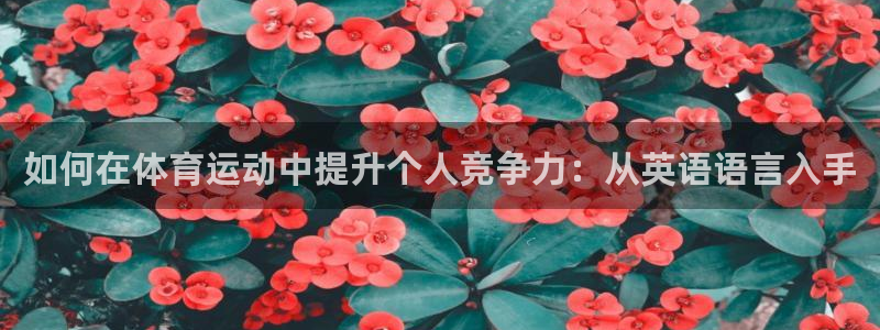 帮k1体育在线登录：如何在体育运动中提升个人竞争力：从英语语言入手