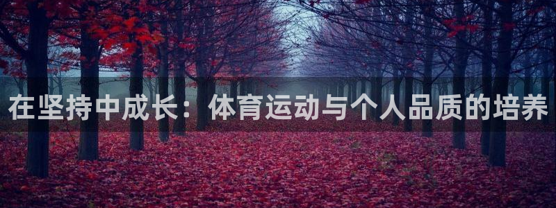 k1体育平台下载：在坚持中成长：体育运动与个人品质的培养