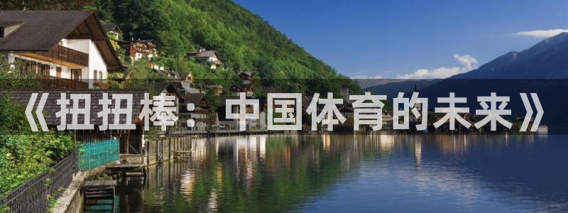 k1体育网址：《扭扭棒：中国体育的未来》