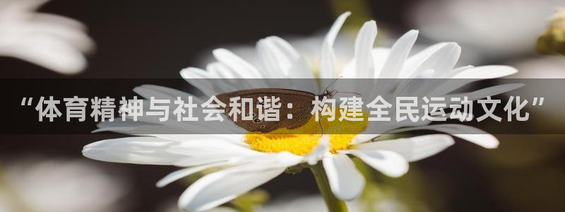 k1体育app官网登录入口：“体育精神与社会和谐：构建全民运动文化”