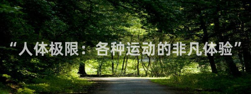 帮k1体育在线登录：“人体极限：各种运动的非凡体验”